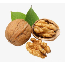 2021 new xinjiang thin-skin shelled walnut with shell